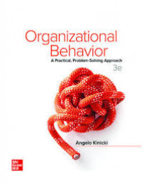 Organizational behavior: a Practical,problem-solving approach