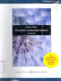 Introduction Information Systems