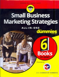 Small business marketing strategies all in one for dummies 6 books in one!