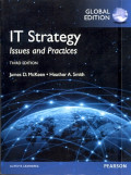 IT Strategy Issues and Practices